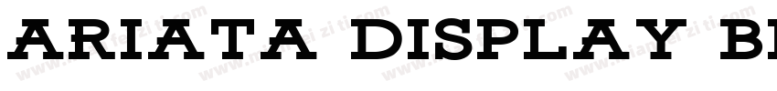 Ariata Display Black字体转换